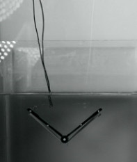 Cornell-water-jump-robot-2.jpg